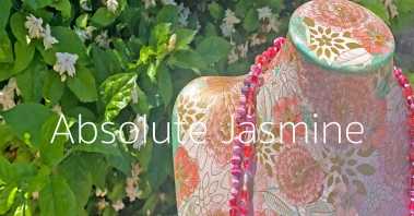 Absolute Jasmine Necklace Series by Jenelle Aubade
